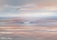 /album/photogallery/point-jpg/